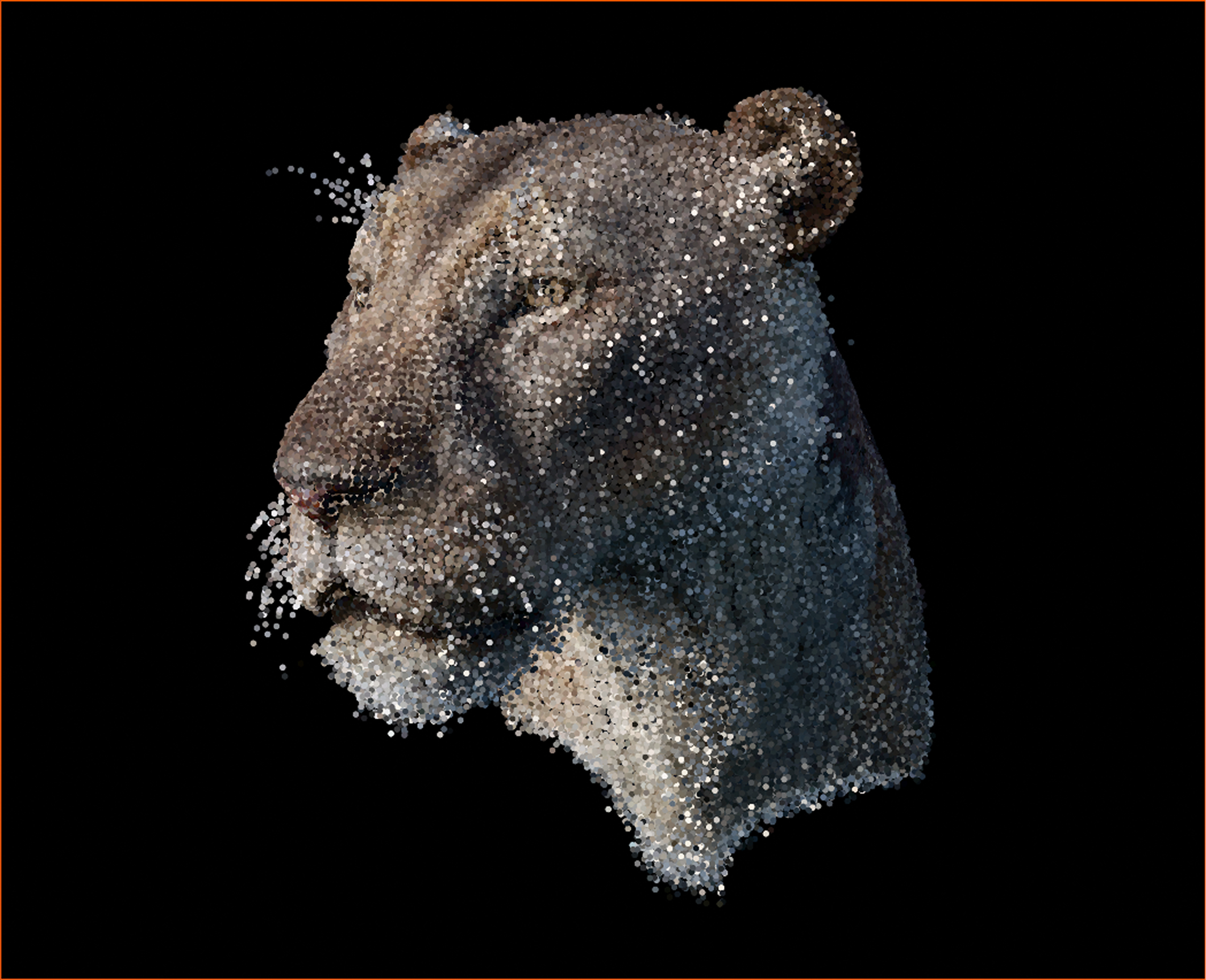 Depth-aware point cloud preserving the bear's whiskers and fine outline
