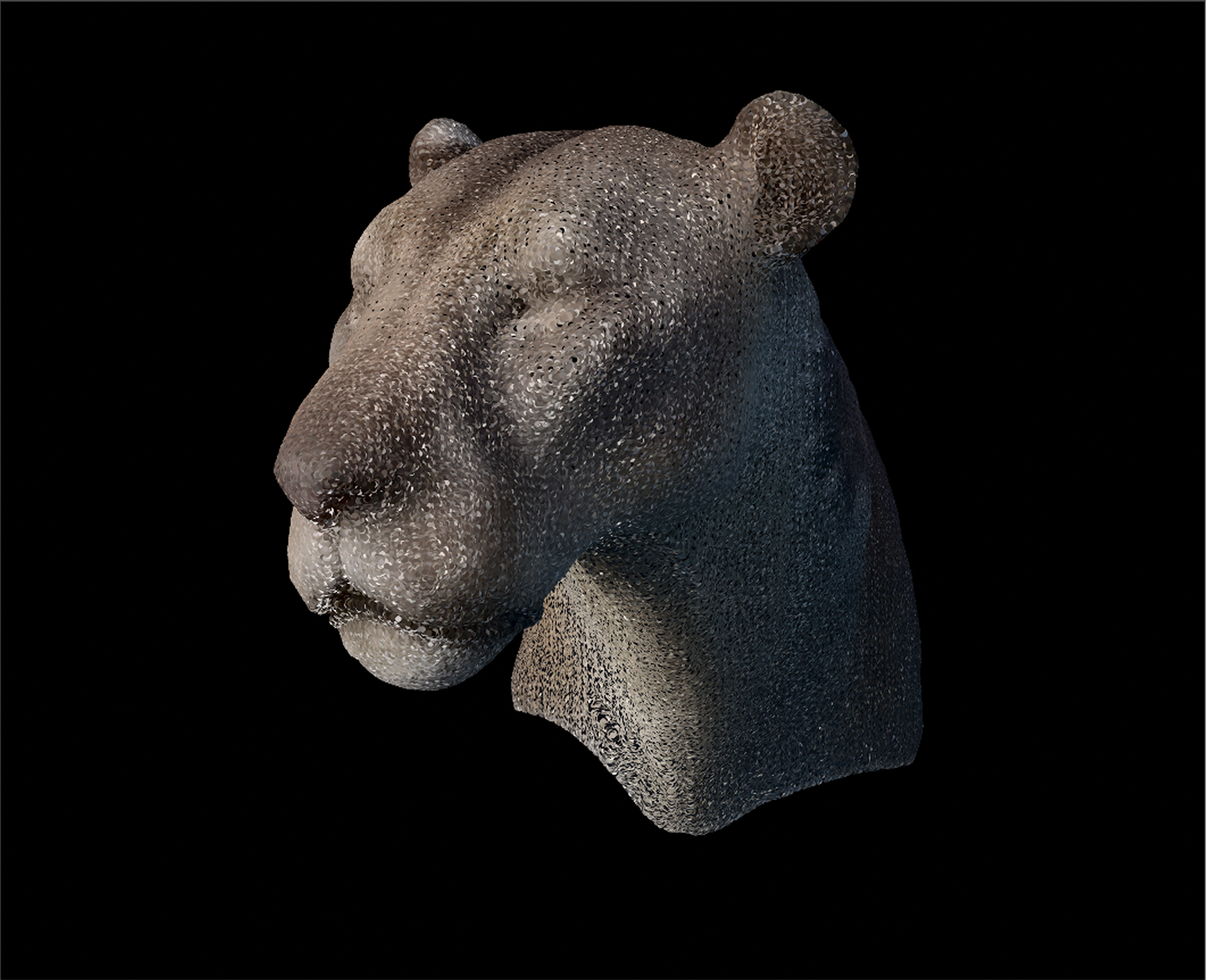 Geometry ray-cast point cloud with less fine detail